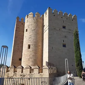 Loft La Calahorra 1 Con Posibilidad De Aparcamiento Córdoba